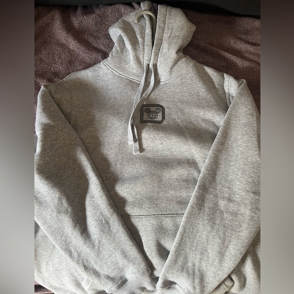 Disney Parks Gray Pullover Hoodie